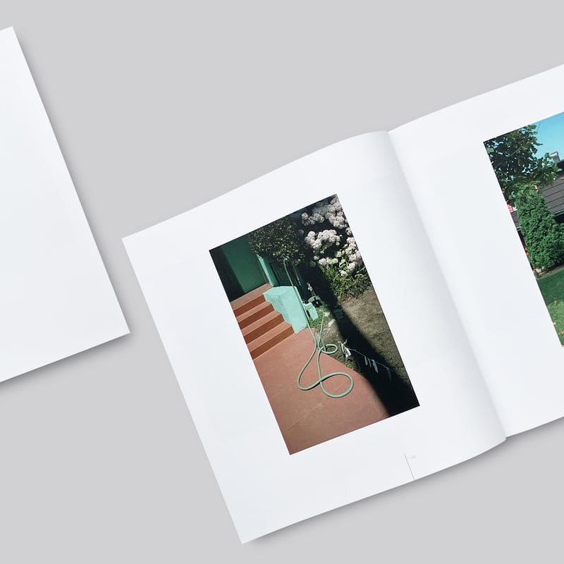 Stephen Shore / TRANSPARENCIES: SMALL CAMERA WO