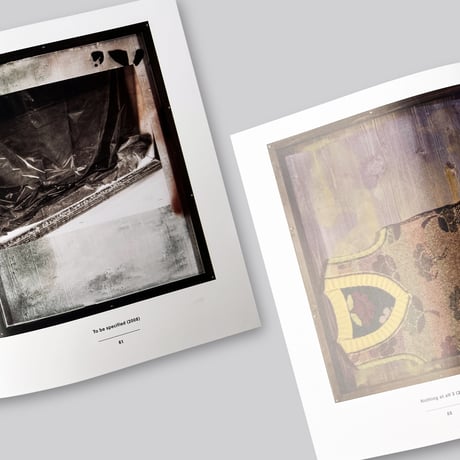 Rosemarie Trockel / Flagrant Delight
