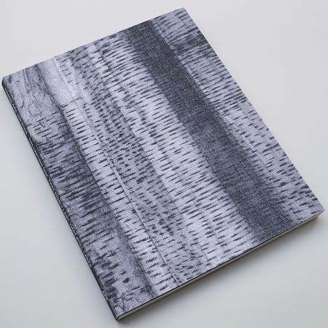 Hannelore Van Dijck / The lasting one, that didn’t last, that still lasts