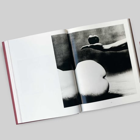 Yasufumi Nakamori / EIKOH HOSOE[JAPANESE EDITION]