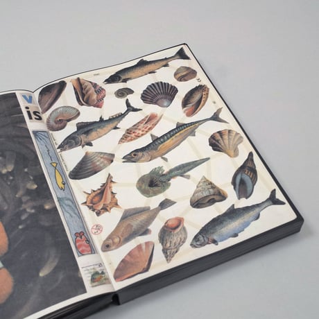 Lous Martens / Animal Books For