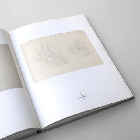 Ewald Mataré / Werkverzeichnis von Sonja Mataré