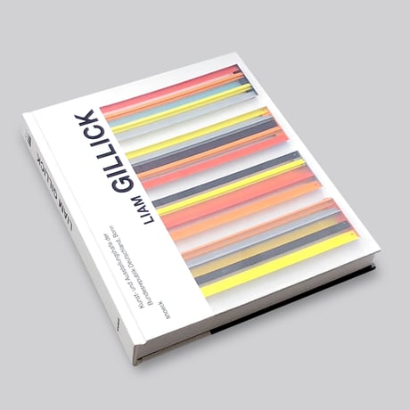 Liam Gillick