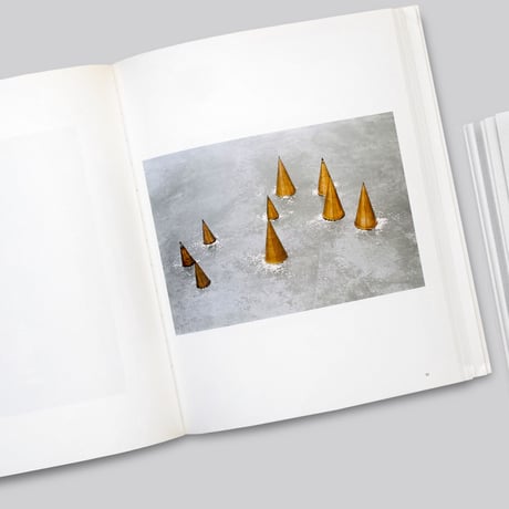 Wolfgang Laib / 볼프강 라이프