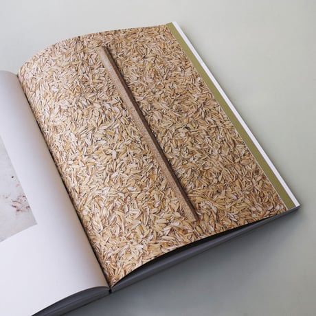 Aesthetics Of Sustainability