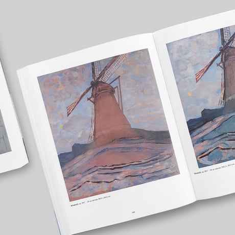 Mondrian Evolution