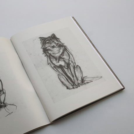 Stephanie Quayle / ANIMAL