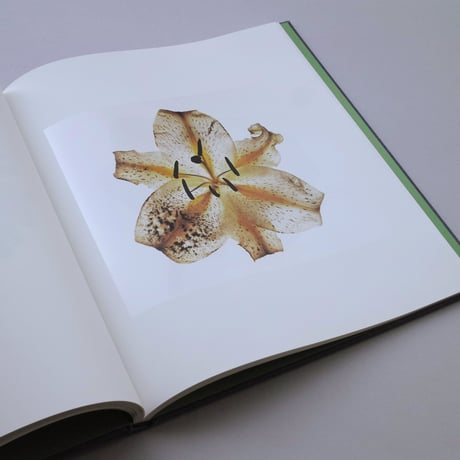 Irving Penn / Flowers