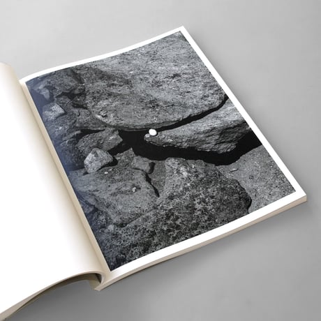 Joselito Verschaeve / If I Call Stone Blue It Is Because Blue Is The Precise Word