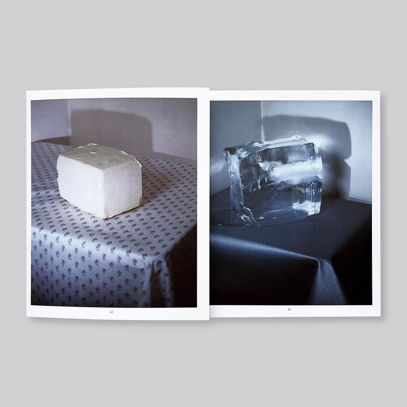 【超希少】Jo Ann Callis ジョー・アン・キャリス オリジナル写真作品 Jo Ann Callis / Dish Trick | POST