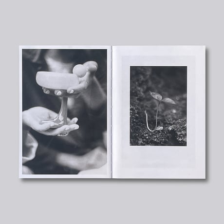 Jochen Lempert / Local Ecology – Moulin des Ribes