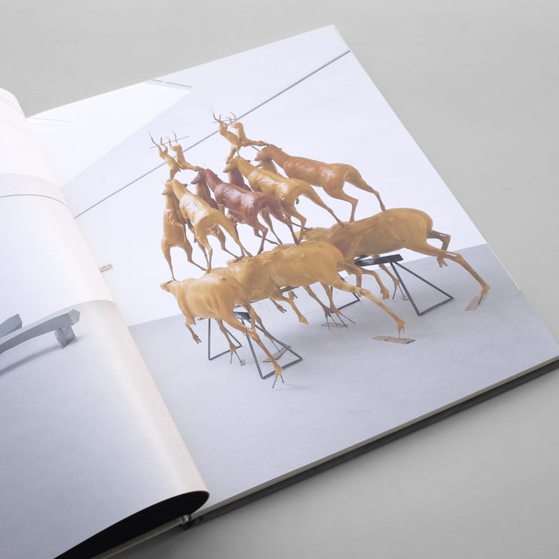 Bruce Nauman / Selected Works from 1967 to 1999