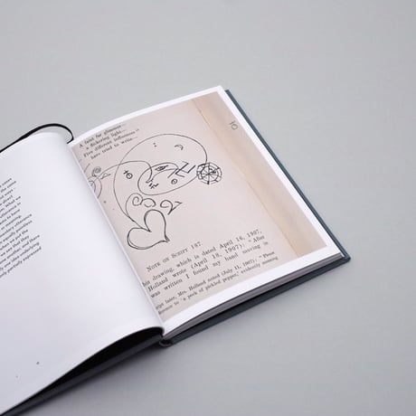Daan Paans / Letters from Utopia