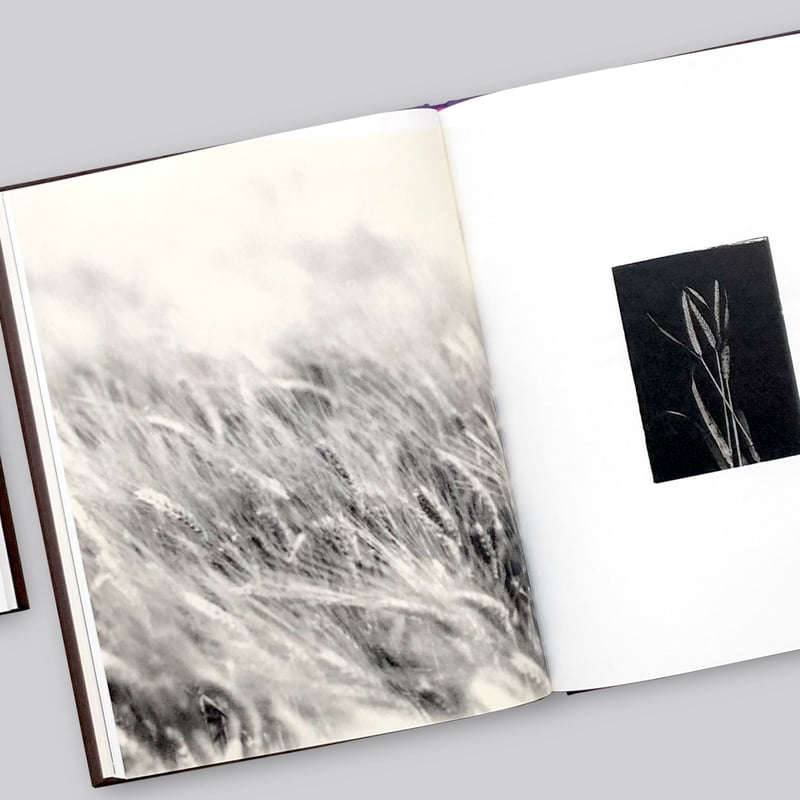 Sachiko Morita / Time in Air, Time in Paper | POST Sachiko Morita / Time in Air, Time in Paper | POST