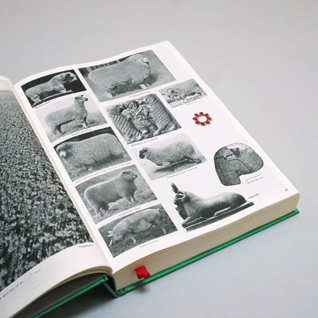 Batia Suter/ Parallel Encyclopedia #2