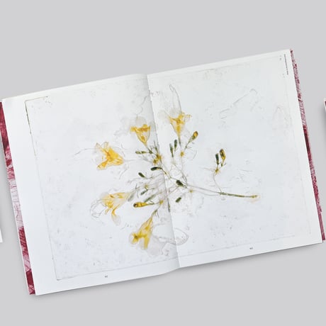 Brigitte Lustenberger / An Apparition of Memory