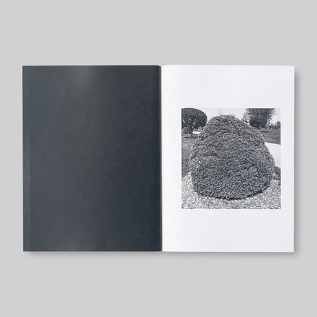 Mike Slack / Shrubs of Death
