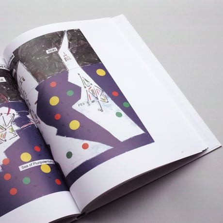 Warren Neidich / Lost Between Extensivity / intensivity Exchange