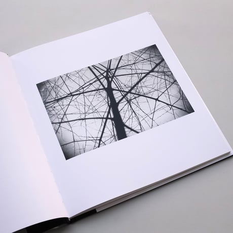 Ellsworth Kelly / Photographs