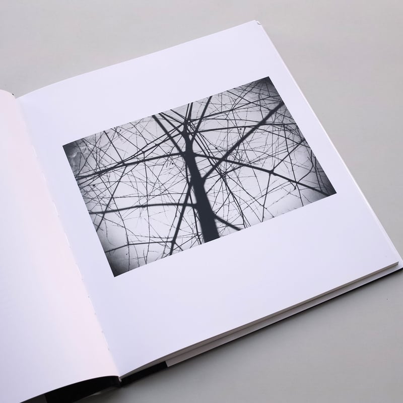 Ellsworth Kelly / Photographs | POST Ellsworth Kelly / Photographs | POST