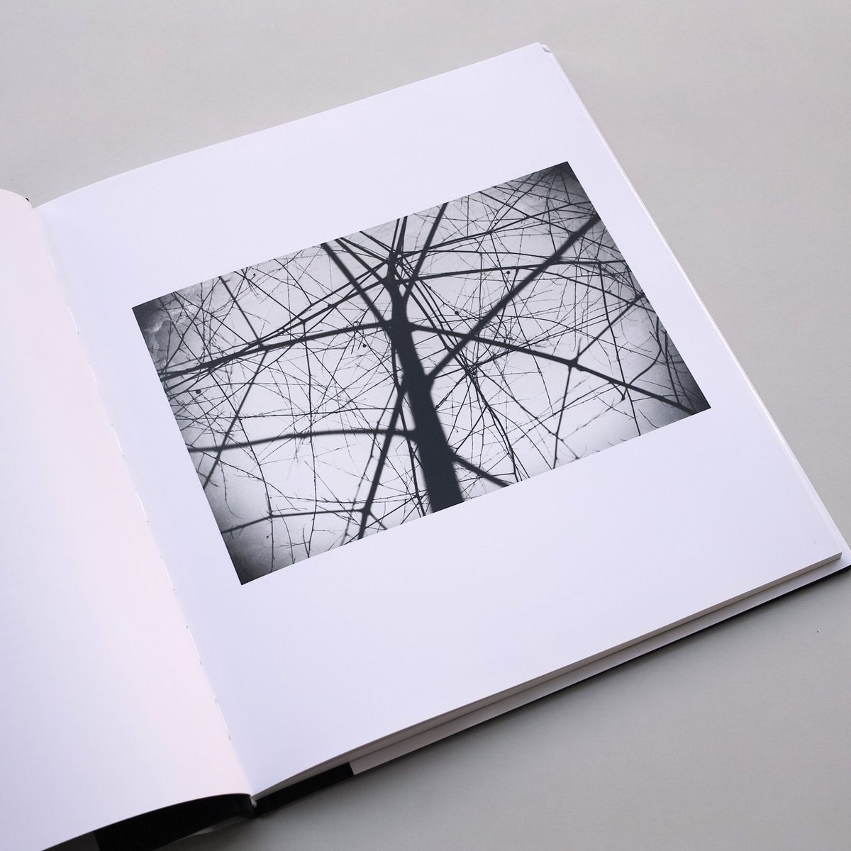 Ellsworth Kelly / Photographs | POST