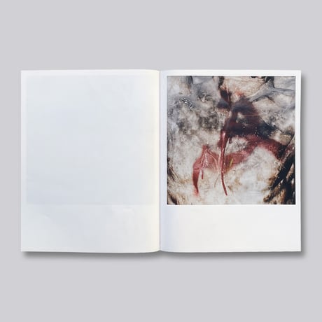 Tommaso Parrillo & Giulia Parlato / Remediations