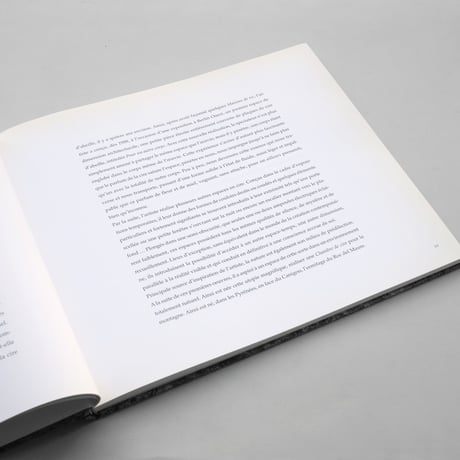Wolfgang Laib / The Room of Certitudes