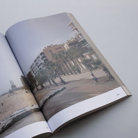 Ton Schaap / REAL URBANISM. DECISIVE INTERVENTIONS