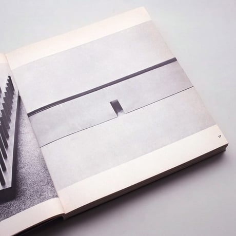 Arte Povera Gabriele Mazzotta Editore