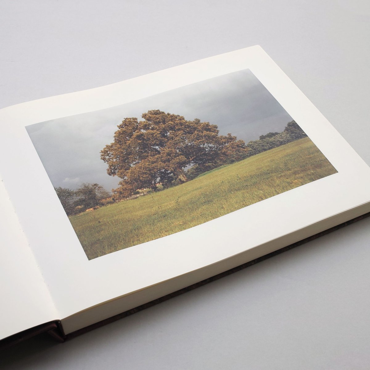 新品 Election Eve William Eggleston エグルストン Election Eve - William Eggleston - Steidl Verlag