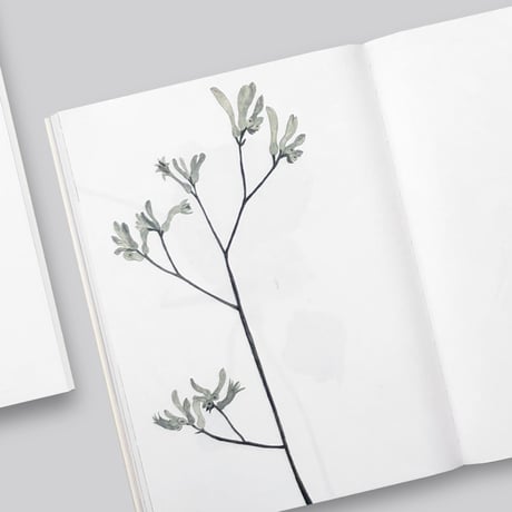 Herma de Wit / Sculptures and Drawings