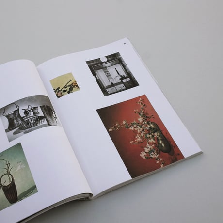 Andrea Salerno, Yeliz Secerli / ARRANGING FLOWER ARRANGING