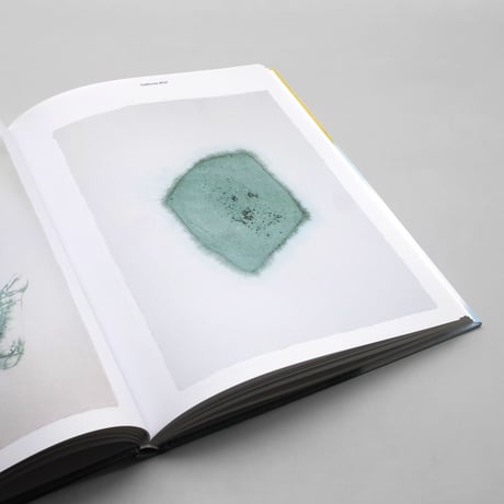 Sarah Bildstein / 100 Spectres