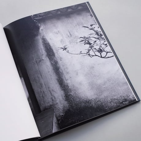 Hélène Binet / The Walls of Suzhou Gardens