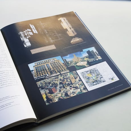 Robert Mangold / Beyond the Line: Paintings and Project 2000 - 2008