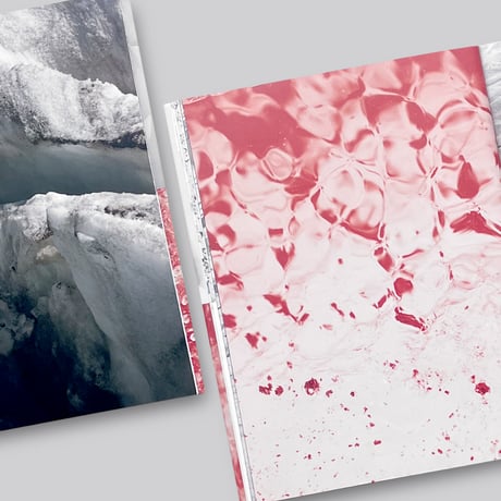 Julian Stettler / The Glacier is Being