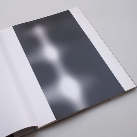 Carsten Nicolai / fades