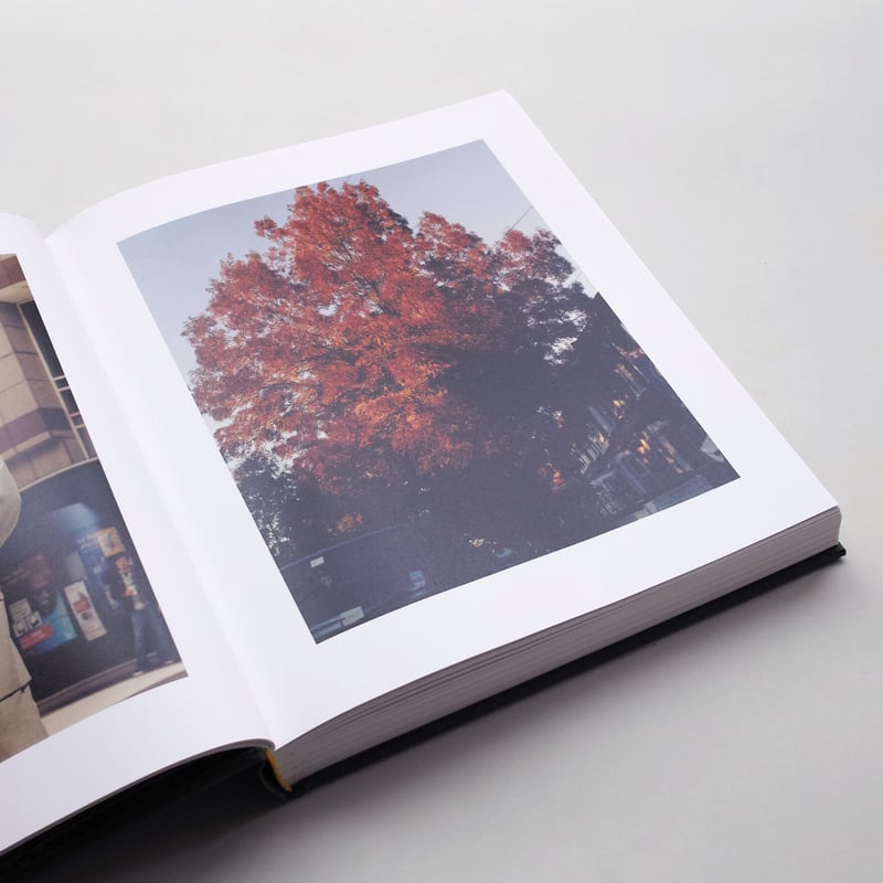 Jamie Hawkesworth The British Isles　美品 THE BRITISH ISLES by Jamie Hawkesworth - HOEK