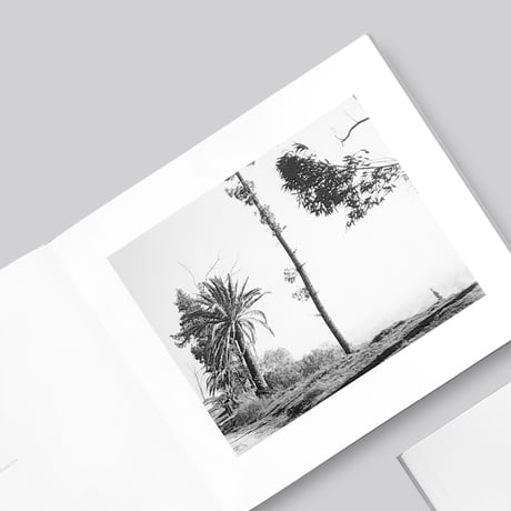 Robert Adams / Los Angeles Spring
