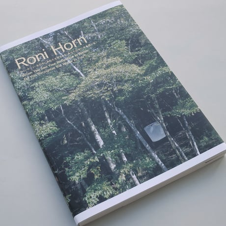 Roni Horn / When You See Your Reflection in Water, Do You Recognize the Water in You?