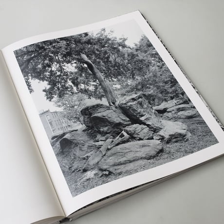 Mitch Epstein / Rock and Clouds