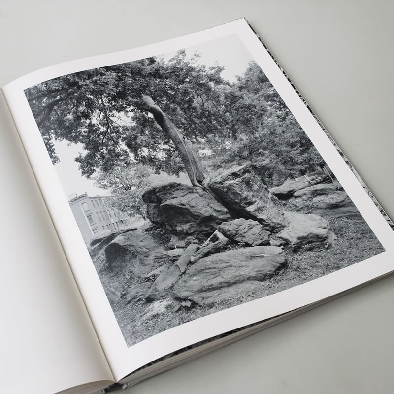 Mitch Epstein / Rock and Clouds | POST