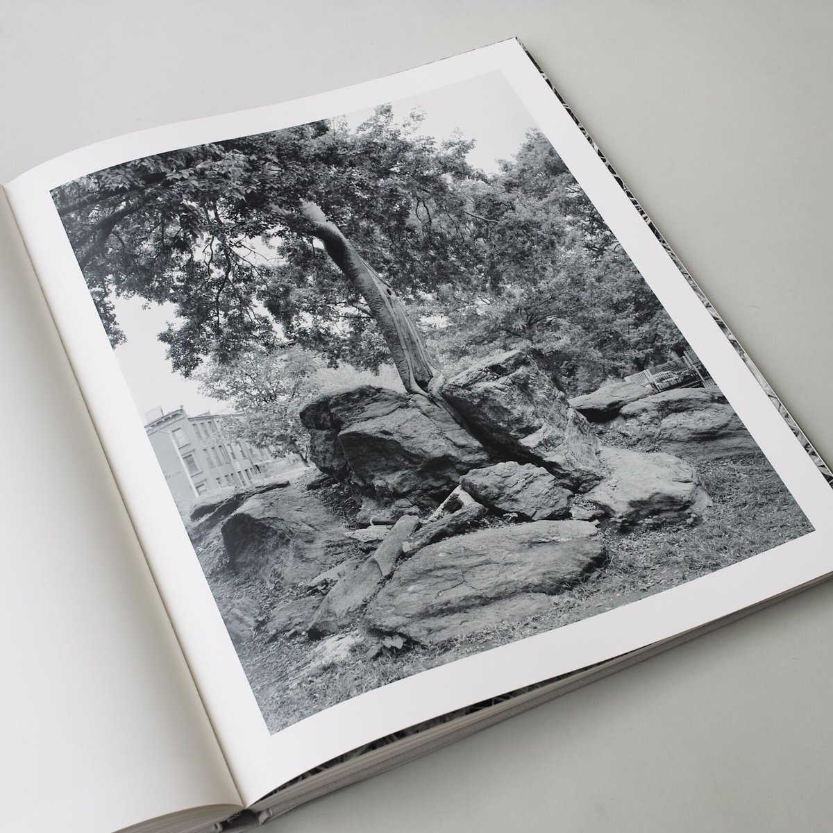 Mitch Epstein / Rock and Clouds | POST