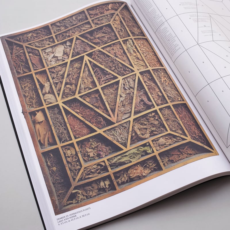 アート・デザイン・音楽 The Collector's Cabinet and Miniature アート・デザイン・音楽 The Collector's Cabinet and Miniature