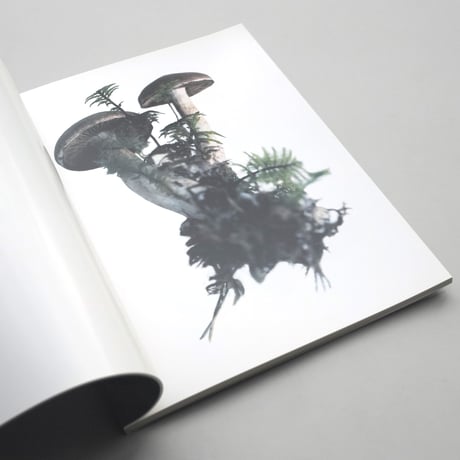 Takashi Homma / SCANDINAVIAN MUSHROOM