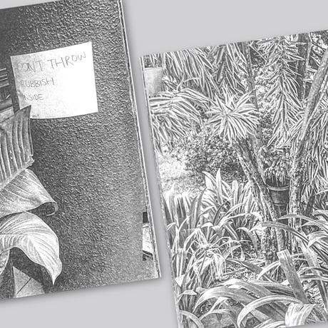Forming Cityscapes #8 Plants