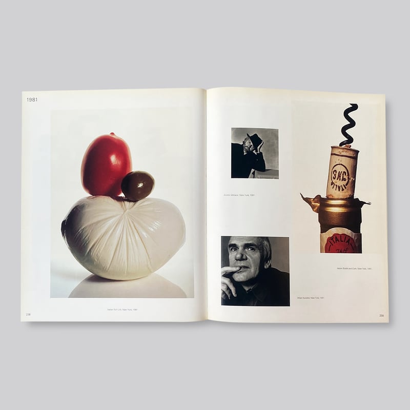 古書】Irving Penn / Passage | POST