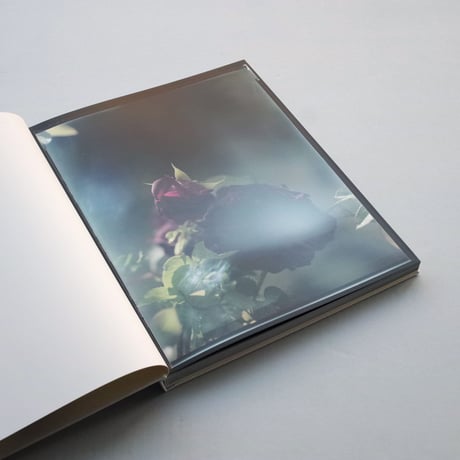 Judith Jockel / You Breathe from a Garden in Your Neck