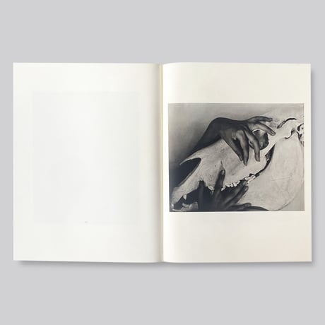 【古書】Alfred Stieglitz / Georgia O’Keeffe: A Portrait