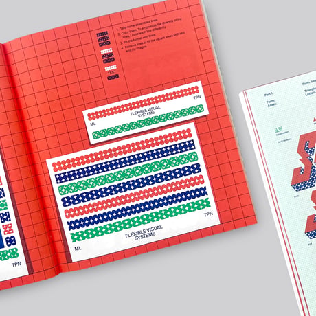 Martin Lorenz / Flexible Visual Systems (4th ed)
